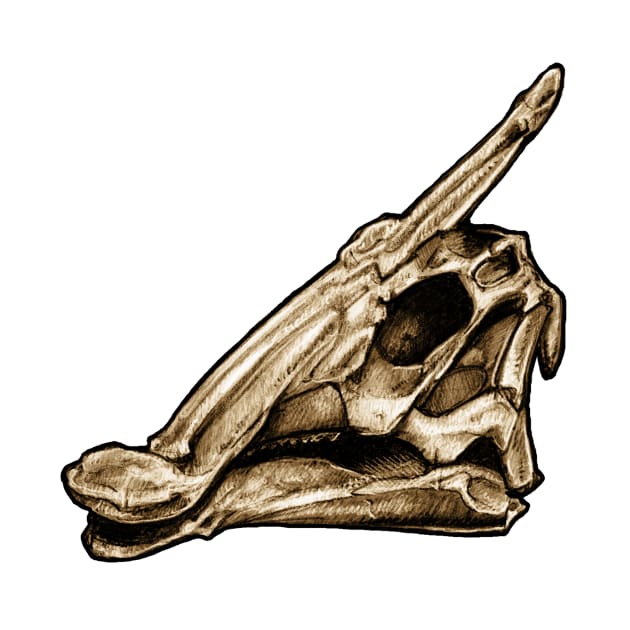 Dinosaur Skull Saurolophus by CassWArt