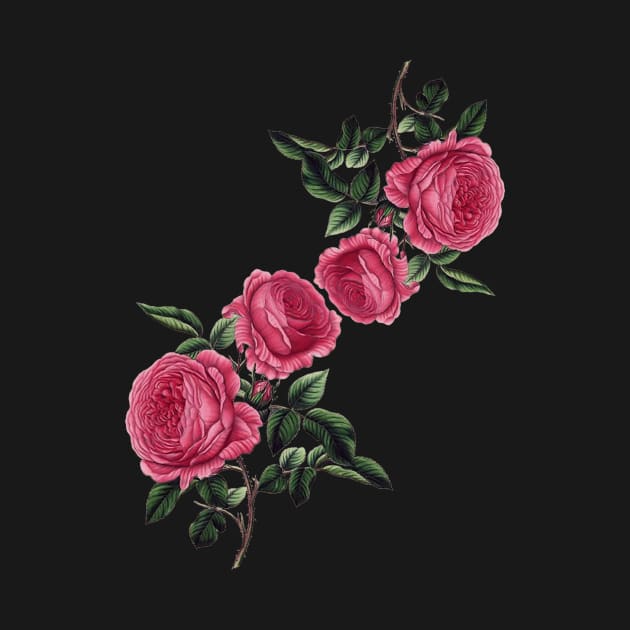 Pink mauve roses by Tianna Bahringer