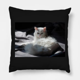 White Cat on Grey Blanket Pillow