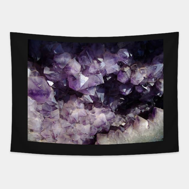 Amethyst - Argentina Tapestry by Kat C.