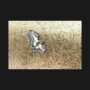 Sand Swallowtail Artistic T-Shirt
