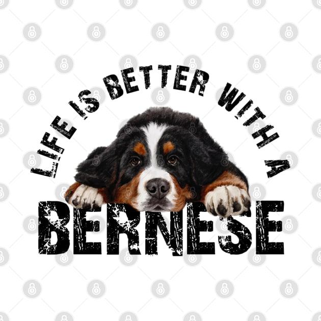 Bernese mountain dog by Bernesemountaindogstuff