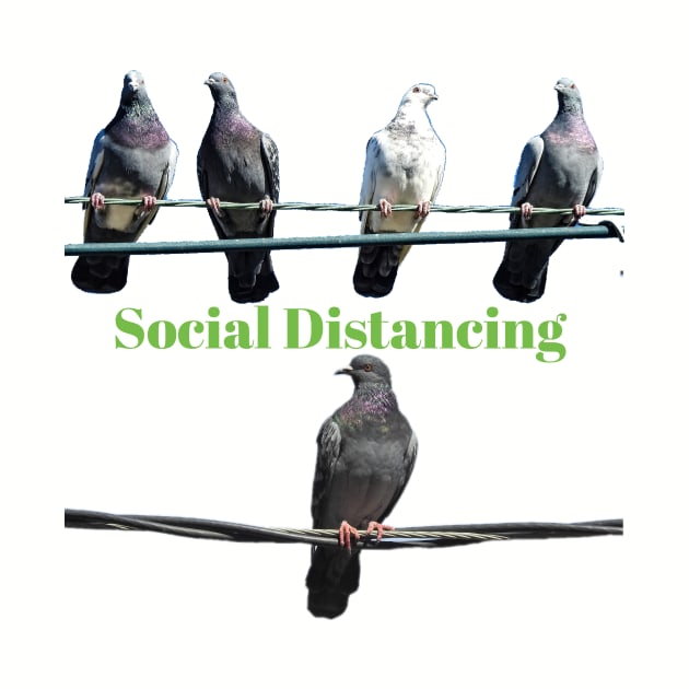 Birds Social Distancing T-shirt by KathyG'sArt