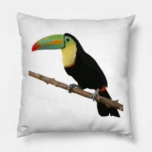 Toucan Digital Painting Pillow