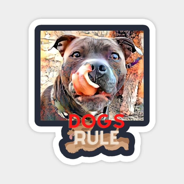 Dogs Rule (tongue out) Magnet by PersianFMts