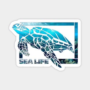 SeaTurtleStyle Magnet