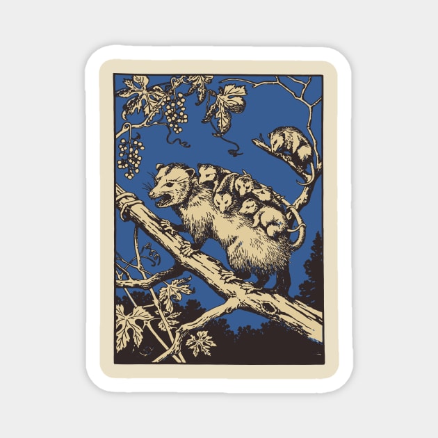 Opposum vintage engraving Magnet by Dystopianpalace