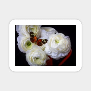 Orange Butterfly Resting On Ranunculus Magnet