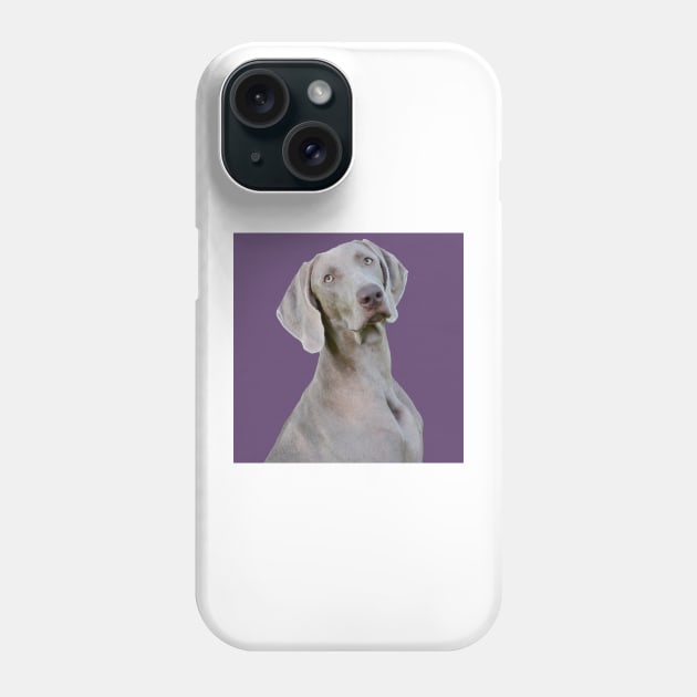 purple weimaraner Phone Case by Noamdelf06