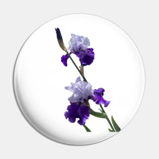 Irises Pin