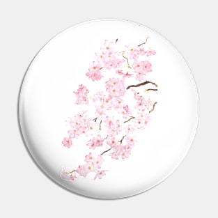 Delicate Pink cherry blossom watercolor 2024 Pin