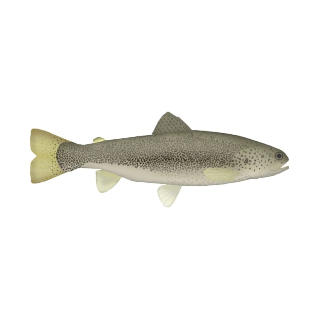 Draa Trout by FishFolkArt