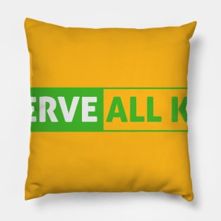 Serve All Kids - Green Pillow