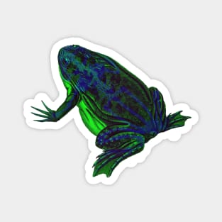 Skeleton Frog Interactive Green&Blue Filter By Red&Blue Magnet