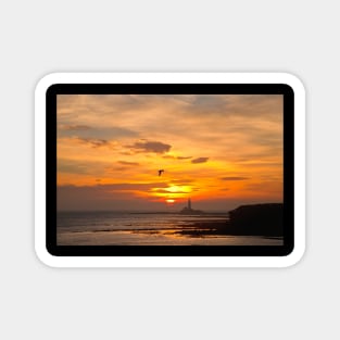Sunrise over Collywell Bay in Northumberland Magnet