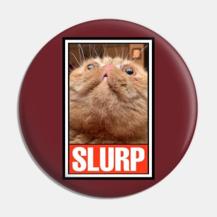 RUFUS the SLURPY CAT! Pin