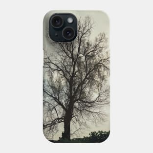 Silhouette of bare tree Phone Case