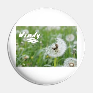 WINDY TEXT DESIGN Pin