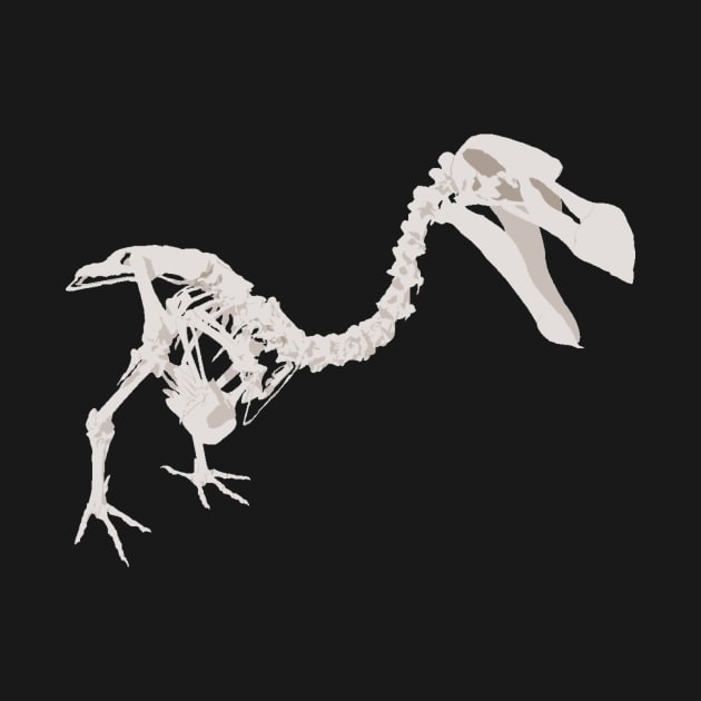Dodo Skeleton by stargatedalek