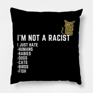 I'm Not a Racist, I Just Hate.... Pillow