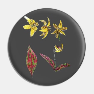 Trout Lily Wildflower Anatomy Pin