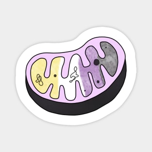 LGBTQ Mitochondria Powerhouse Magnet