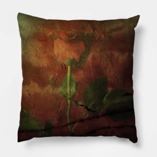 Red rose on grunge background Pillow