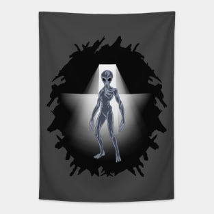 Midnight Alien Visitor Tapestry