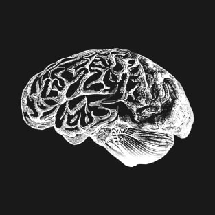Anatomical Correct Brain Illustration T-Shirt