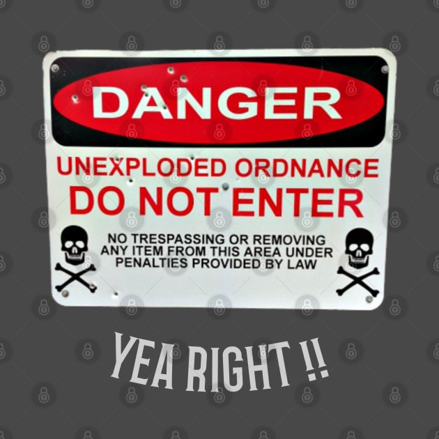 DANGER UNEXPLODED ORDNANCE SIGN by Turnerbilt 