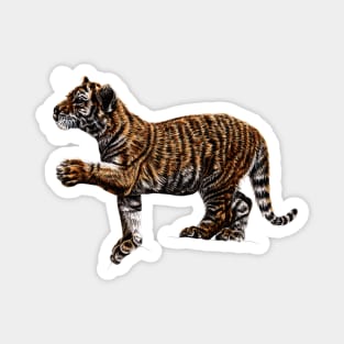 Amur tiger cub illustration Magnet