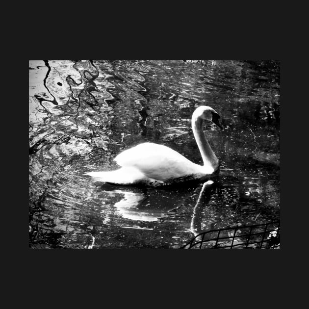 Vintage Swan by mtndew3301@gmail.com