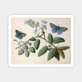 Vintage Butterflies Magnet