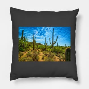 Saguaro National Park Pillow