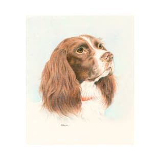 Springer spaniel T-Shirt