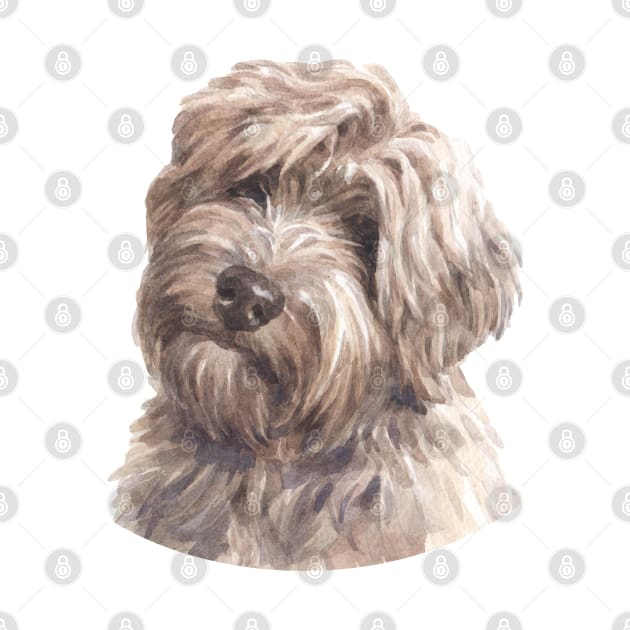 Gold Tibetan Terrier Watercolor Art by doglovershirts