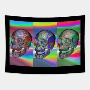 Aesthetic Triple Rainbow Crystal Skull ∆∆∆∆ Graphic Design/Illustration Tapestry