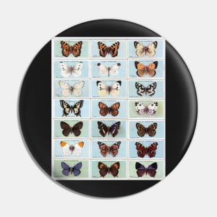 NATURAL HISTORY BUTTERFLIES SPECIMEN BOTANICAL POSTER Pin