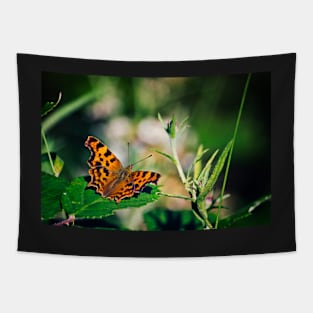 Comma Butterfly Tapestry