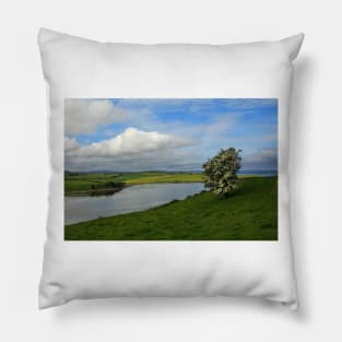 Inch Island Pillow