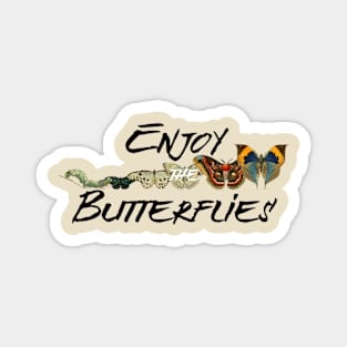 Enjoy The Butterflies, Butterfly Evolution Magnet