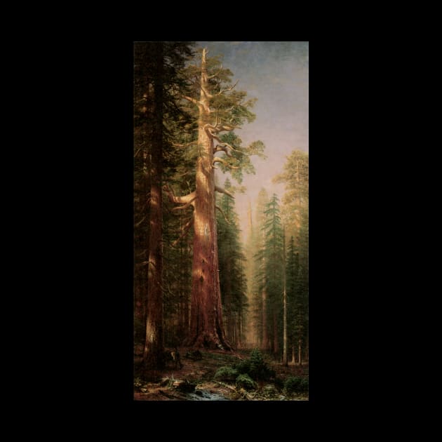 Great Trees, Mariposa Grove, California by Albert Bierstadt by MasterpieceCafe