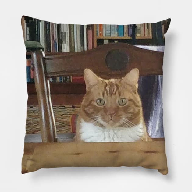 A cute cat in a library Pillow by BTSKingdom