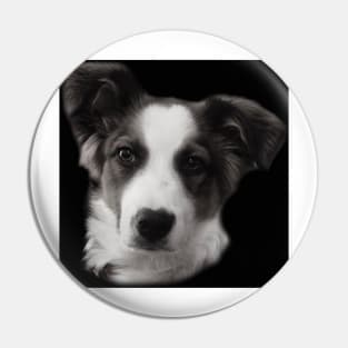 Charly Australian Shepherd Mix Pin