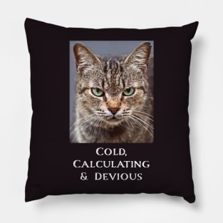 Funny Tabby Cat Lovers Sarcastic Cat For Men Women Pillow