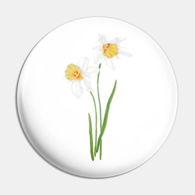 2 white daffodil  flowers watercolor Pin by colorandcolor