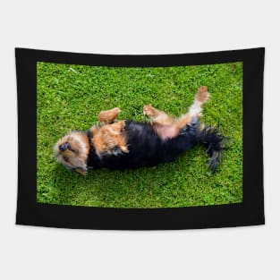 Playful Dog Tapestry