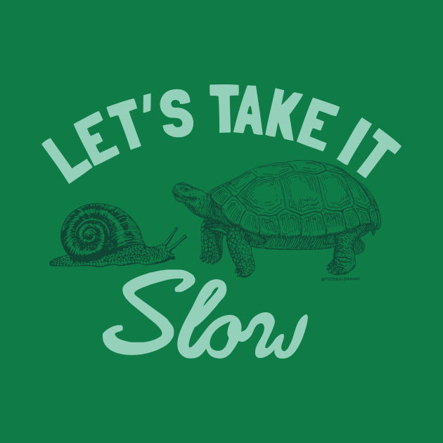 Discover TAKE IT SLOW - Turtle - Pin