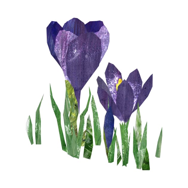 Crocus by Babban Gaelg