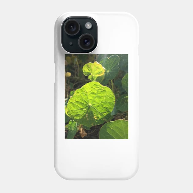 Nasturtium Phone Case by TerraDumont